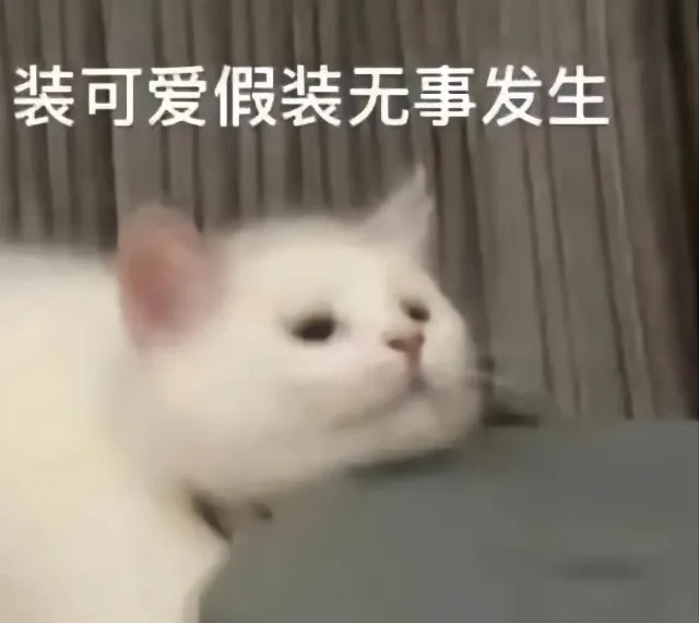 装可爱假装无事发生（装可爱假装无事发生）