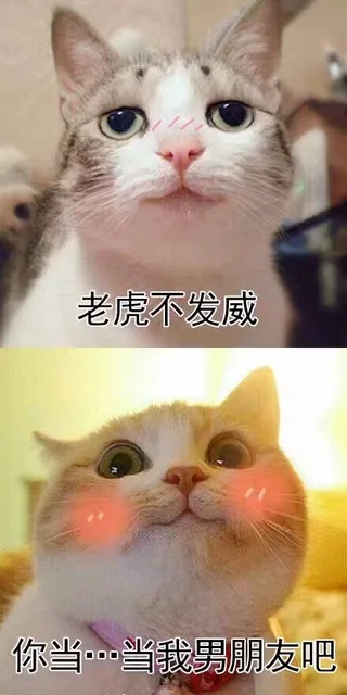 老虎不发威你当…当我男朋友吧