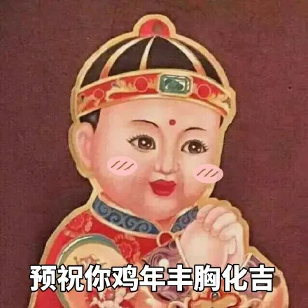 预祝你鸡年丰胸化吉！