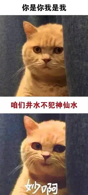 你是你我是我，咱们井水不犯神仙水，妙啊（你是你我是我，咱们井水不犯神仙水，妙啊）