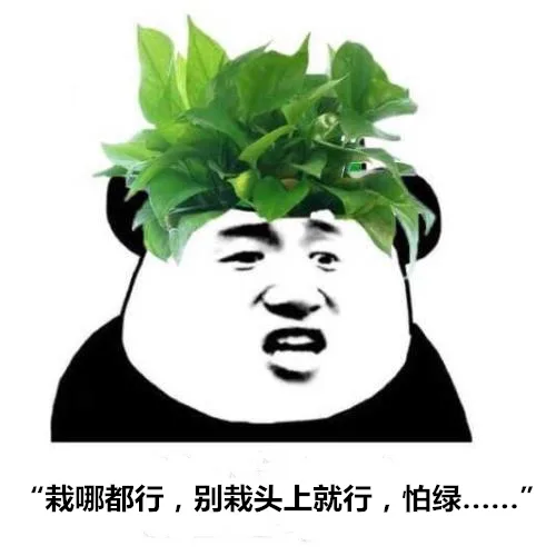 栽哪都行，别栽头上就行，怕绿