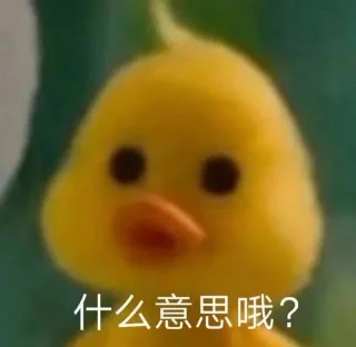 什么意思哦?