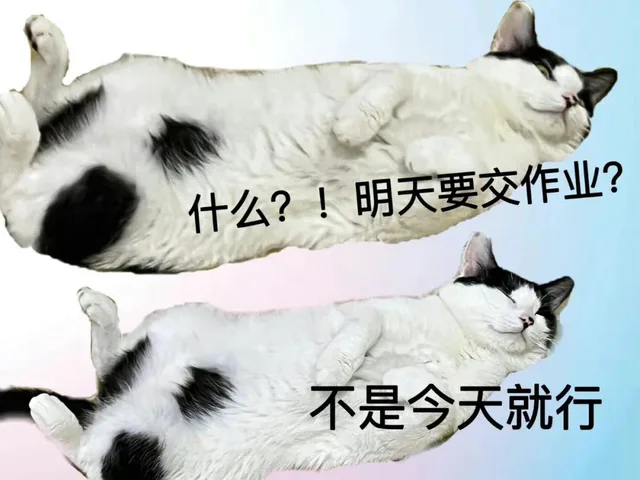 什么？！明天要交作业？不是今天就行（什么？！明天要交作业？不是今天就行）