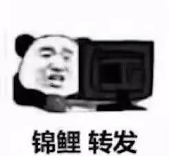 锦鲤 转发
