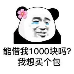 能借我1000块吗?我想买个包（能借我1000块吗?我想买个包）