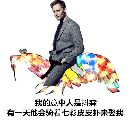我的意中人叫抖森，有一天他会骑着七彩皮皮虾来娶我