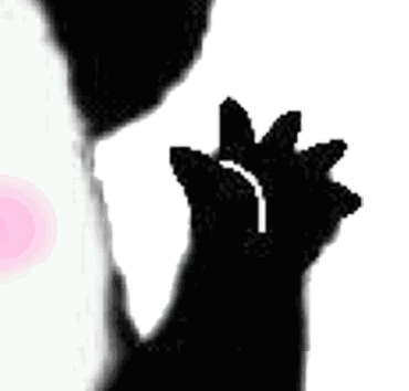 懂？（懂？）