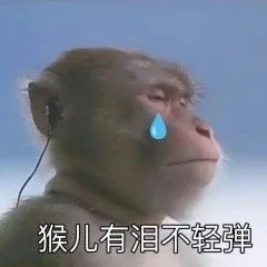 猴儿有泪不轻弹(吗喽表情包)（猴儿有泪不轻弹(吗喽表情包)）