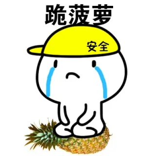 跪菠萝