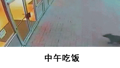 中午吃饭（中午吃饭）