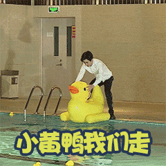 小黄鸭我们走（小黄鸭我们走）