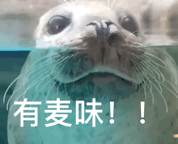 有麦味!（有麦味!）