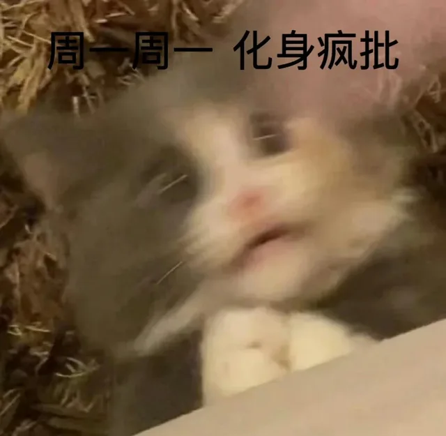 周一周一化身疯批（周一周一化身疯批）