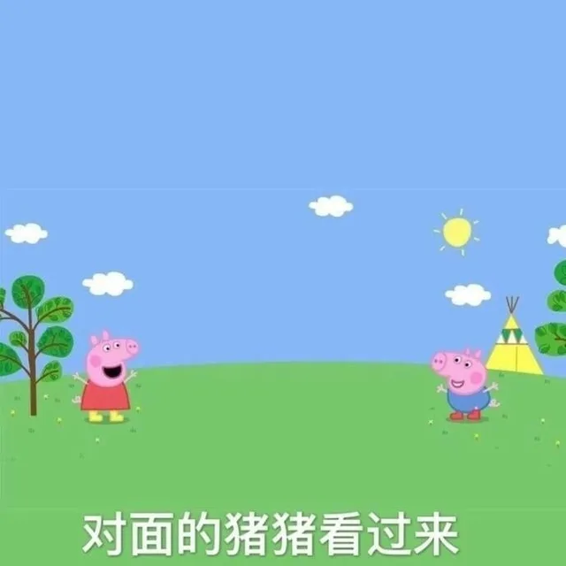 对面的猪猪看过来