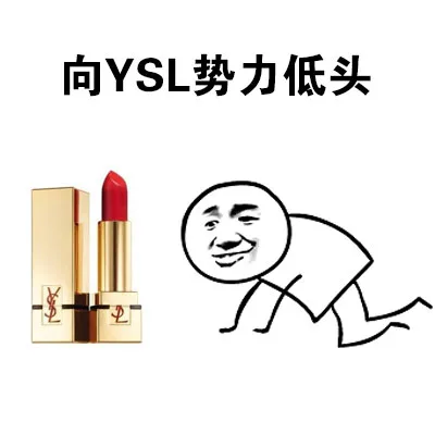 向YSL势力低头（向YSL势力低头）