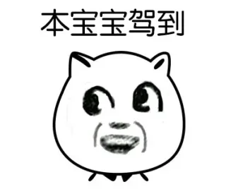 本宝宝驾到