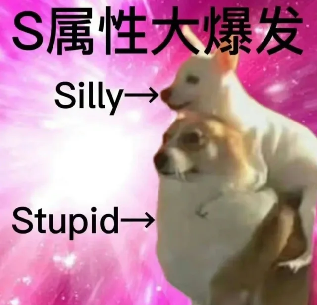 S属性大爆发Silly→Stupid→
