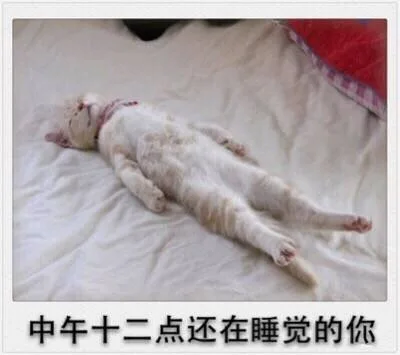 中午十二点还在睡觉的你（中午十二点还在睡觉的你）