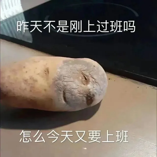 昨天不是刚上过班吗怎么今天又要上班(枯萎土豆表情包)（昨天不是刚上过班吗怎么今天又要上班(枯萎土豆表情包)）