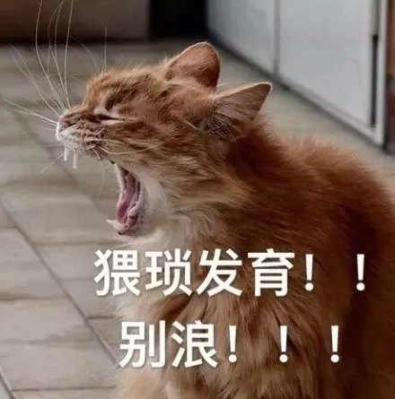 猥琐发育！！别浪！