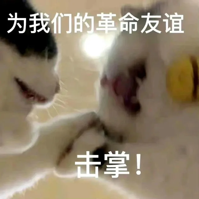 为我们的革命友谊击掌！（为我们的革命友谊击掌！）