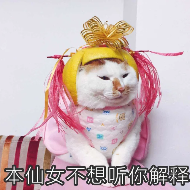 本仙女不想听你解释