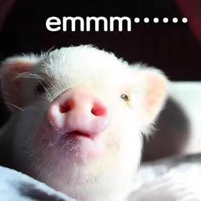emmm..