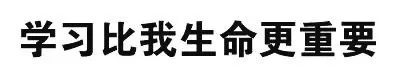学习比我生命更重要