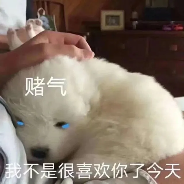赌气我不是很喜欢你了今天（赌气我不是很喜欢你了今天）