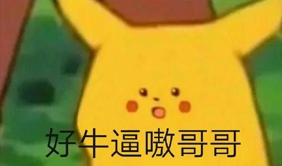 好牛逼嗷哥哥
