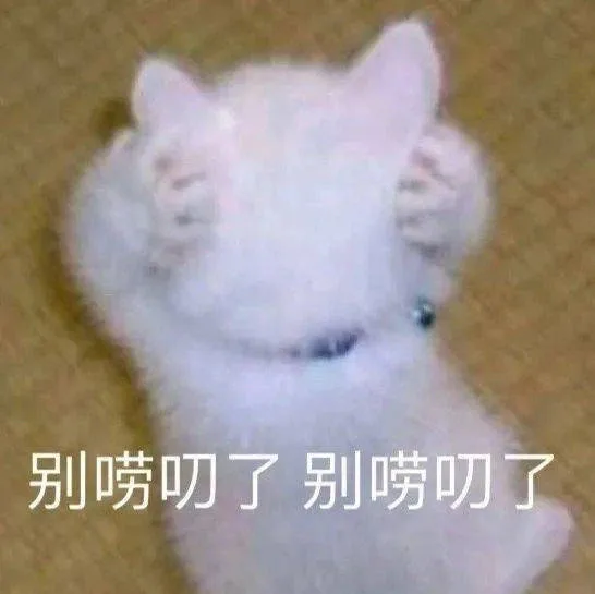 别唠叨了别唠叨了（别唠叨了别唠叨了）
