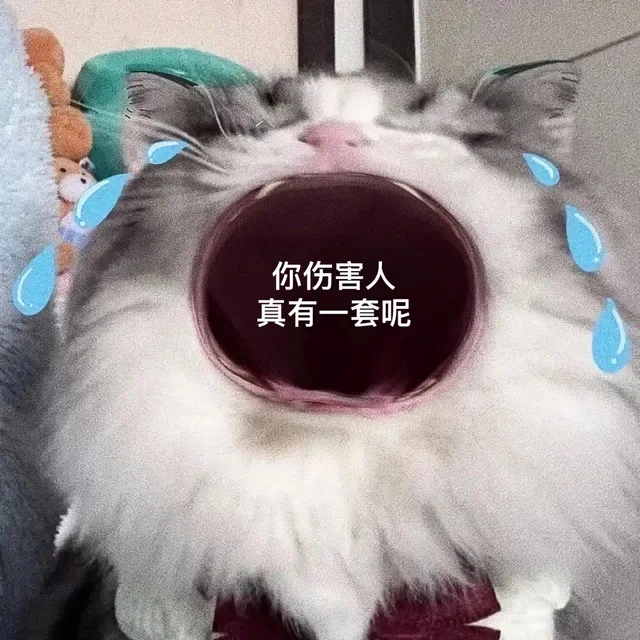 你伤害人真有一套呢