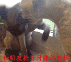 和朋友抢着付账的时候