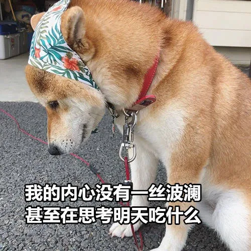 我的内心没有一丝波澜，甚至在思考明天吃什么（我的内心没有一丝波澜，甚至在思考明天吃什么）