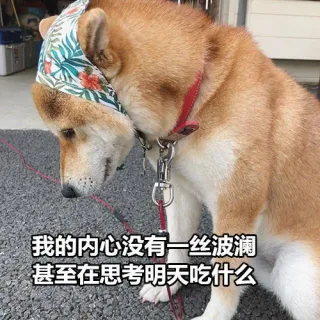 我的内心没有一丝波澜，甚至在思考明天吃什么