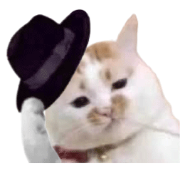 猫猫表情包（猫猫表情包）