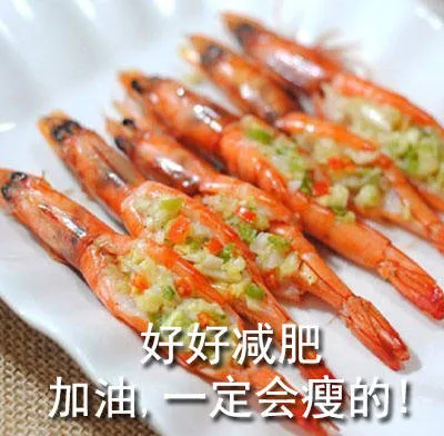加好好减肥定会瘦的!