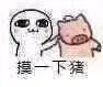 摸一下猪（摸一下猪）