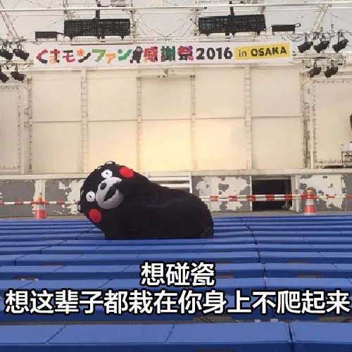 c毛72感謝祭2016 in OSAK想碰瓷想这辈子都栽在你身上不爬起来
