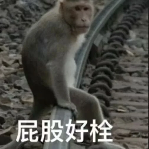 屁股好栓（屁股好栓）