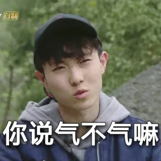 你说气不气嘛