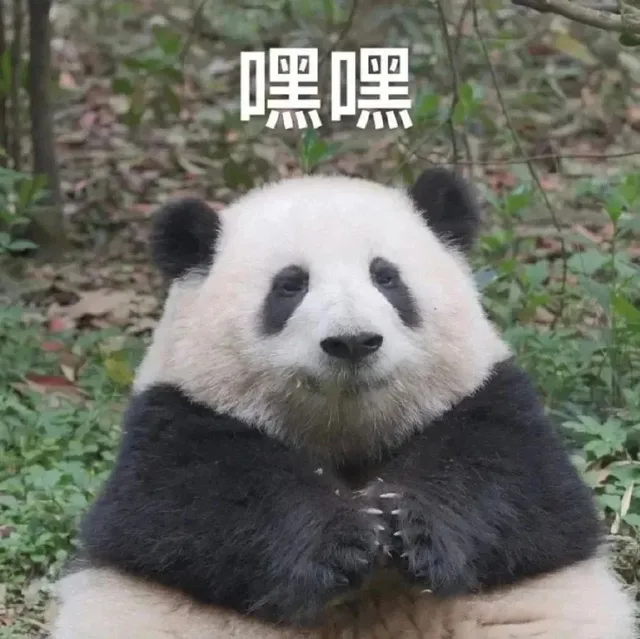 嘿嘿