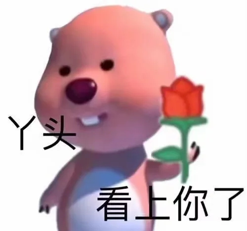 丫头看上你了（丫头看上你了）