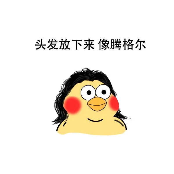 头发放下来像腾格尔