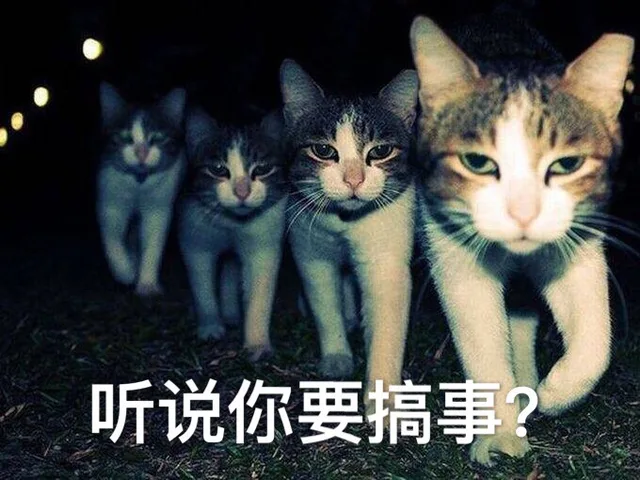 听说你要搞事？