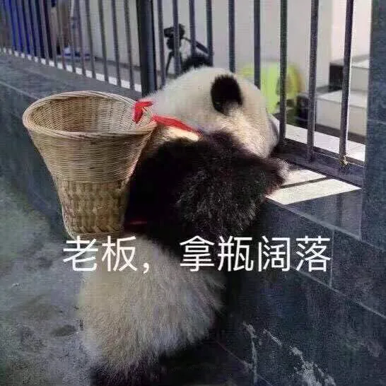 老板，拿瓶阔落（可乐）