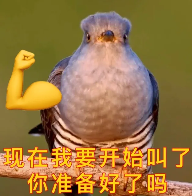 现在我要开始叫了你准备好了吗（现在我要开始叫了你准备好了吗）