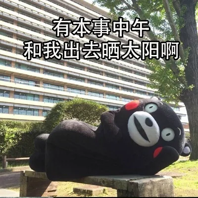 有本事中午和我出去晒太阳啊