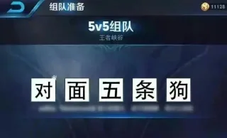 5v5组队，对面五条狗