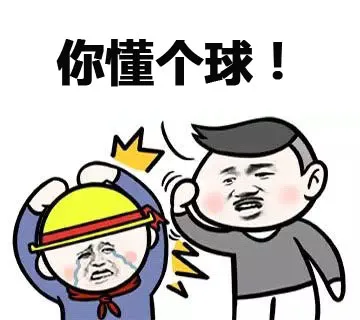 你懂个球！